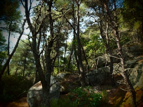 green oliver hiking trekking chalkidiki sithonia greece χαλκιδικη πεζοπορια ελλαδα3