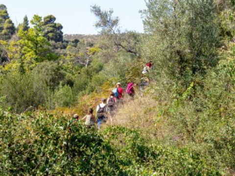 green oliver hiking trekking neos marmaras chalkidiki greece πεζοπορια χαλκιδικι ελλαδα 4