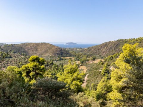 green oliver hiking trekking neos marmaras chalkidiki greece πεζοπορια χαλκιδικι ελλαδα 2