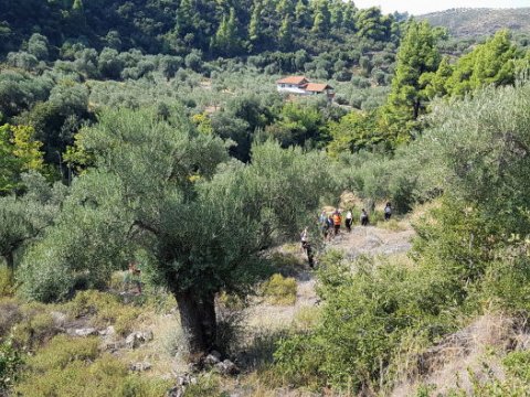 green oliver hiking trekking neos marmaras chalkidiki greece πεζοπορια χαλκιδικι ελλαδα 1