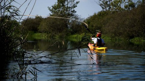 Kayak στον Λούρο Ποταμό & παρατήρηση πουλιών
