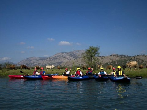Louros River, Κayaking – Βirdwatching into the wild greece preveza