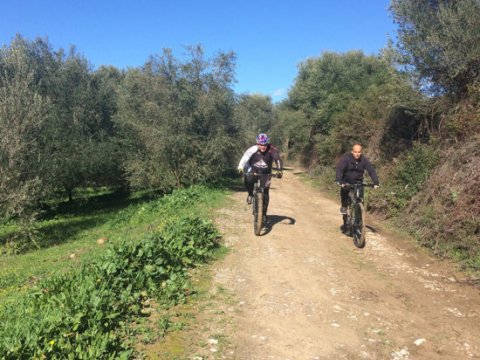 Cycling in Olympia greece ποδηλασια greco paths.jpg10