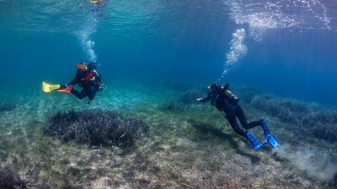 Discover Scuba Diving Halkidiki