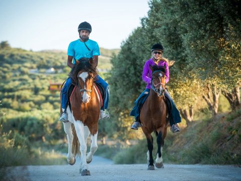 Horse Riding tour Finikia, Hraklion hersonissos ιππασια greece crete.jpg3