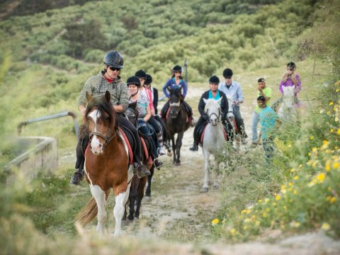 Horse Riding tour Finikia, Hraklion hersonissos ιππασια greece crete.jpg2