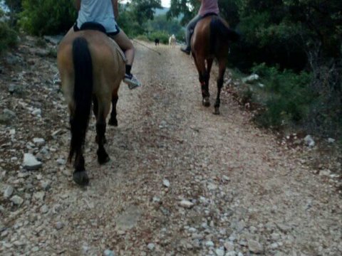 Horse Riding Kefalonia Countryside ιππασια αλογα Greece.jpg5