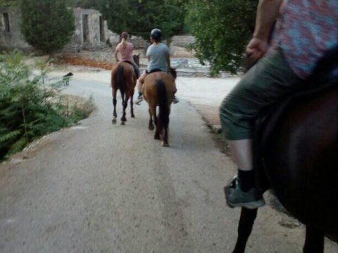 Horse Riding Kefalonia Countryside ιππασια αλογα Greece.jpg3