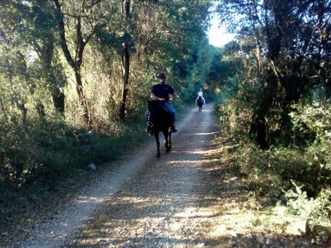 Horse Riding Kefalonia Countryside ιππασια αλογα Greece