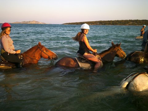 Horse Riding Paros Greece Kokou Ιππασία Αλογα.jpg10