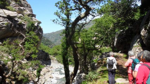 Hiking Evia at Dimosaris Gorge
