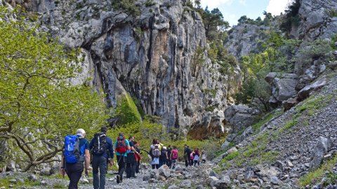 Hiking Gorge of Agali Evia