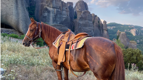Horse Riding Meteora 