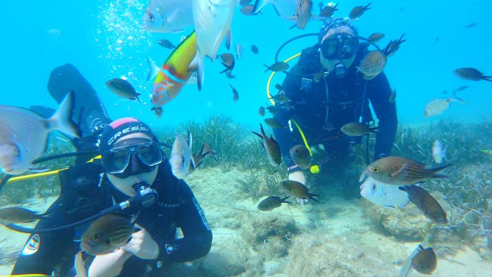 Discover Scuba Diving Naxos