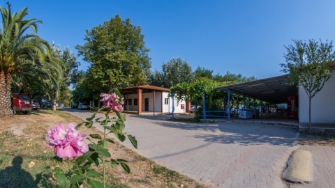 Camping Παραλία Συκιά Χαλκιδική