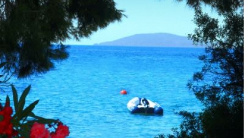 Καταγραφή1
