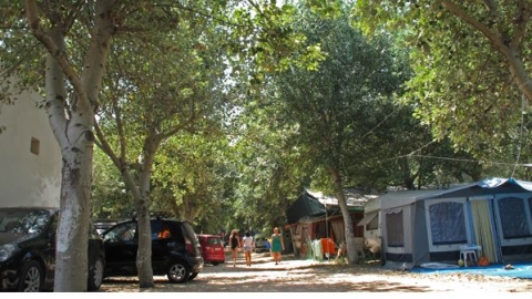 Camping Συκιά Χαλκιδική