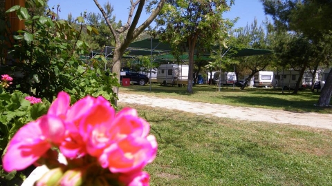 Camping Συκιά Χαλκιδική