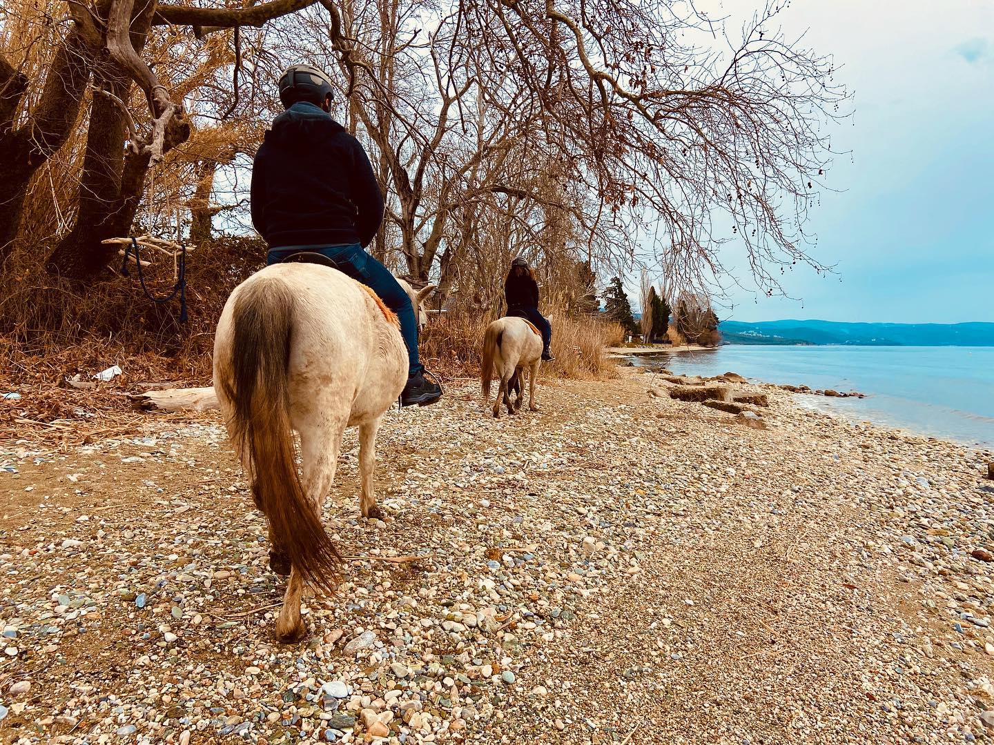 Βόλτα με Άλογα στην Θάλασσα Πήλιο