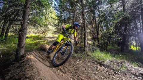 ‎Rogue Pear Enduro - EGS 2019