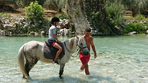 horse riding River Acheron ιππασία  ποταμοσ  Greece αλογα