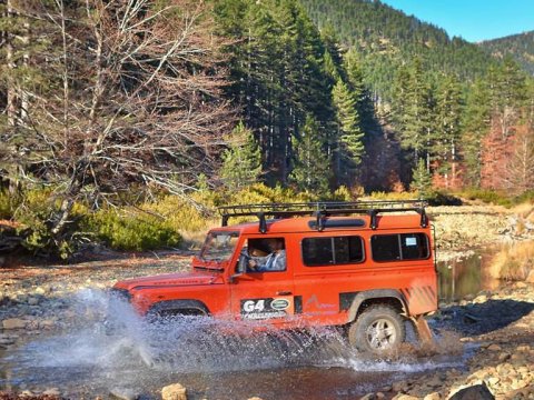 ALPINE ZONE jeep safari