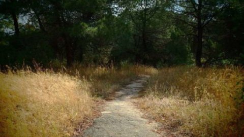 green oliver hiking trekking chalkidiki sithonia greece χαλκιδικη πεζοπορια ελλαδα 7