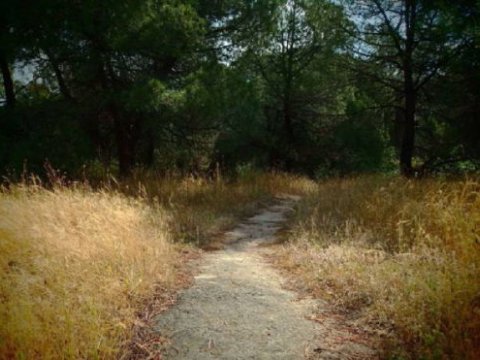 green oliver hiking trekking chalkidiki sithonia greece χαλκιδικη πεζοπορια ελλαδα 7