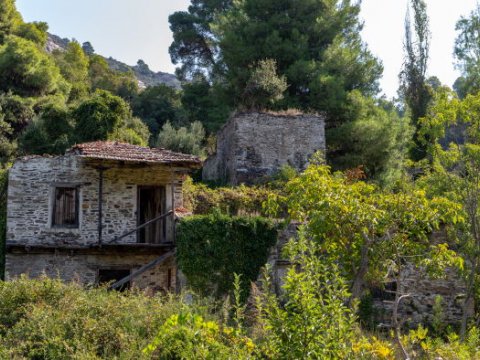 green oliver hiking trekking neos marmaras chalkidiki greece πεζοπορια χαλκιδικι ελλαδα 3