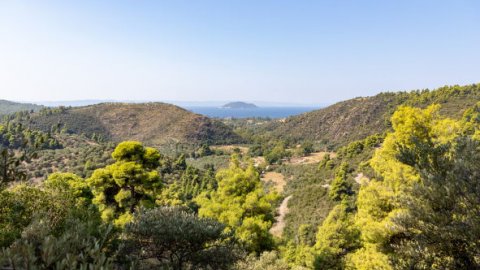 green oliver hiking trekking neos marmaras chalkidiki greece πεζοπορια χαλκιδικι ελλαδα 2