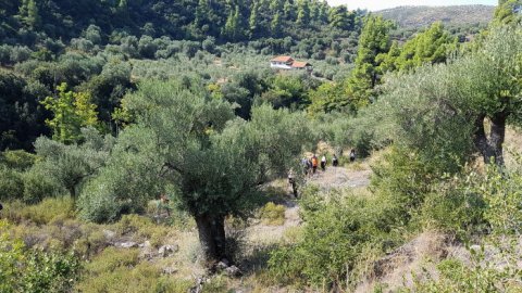 green oliver hiking trekking neos marmaras chalkidiki greece πεζοπορια χαλκιδικι ελλαδα 1