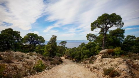 green oliver  mountain bike paruenonas sithonia chalkidiki greece 1