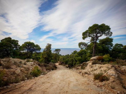 green oliver  mountain bike paruenonas sithonia chalkidiki greece 1