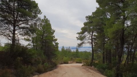 green oliver  mountain bike paruenonas sithonia chalkidiki greece 3