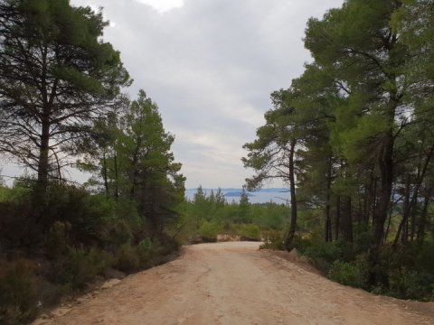 green oliver  mountain bike paruenonas sithonia chalkidiki greece 3