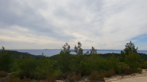 green oliver  mountain bike paruenonas sithonia chalkidiki greece