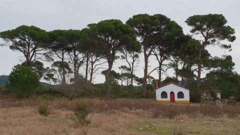 Βόλτα με ποδήλατα Άγιος Χριστόφορος, Χαλκιδική