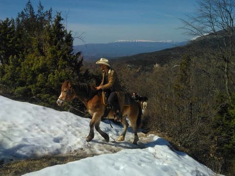 horse riding papigο greece αλογα ιππασια παπιγκο