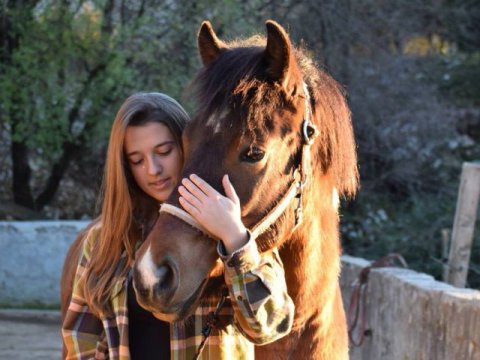 horse riding papigο greece αλογα ιππασια παπιγκο 4