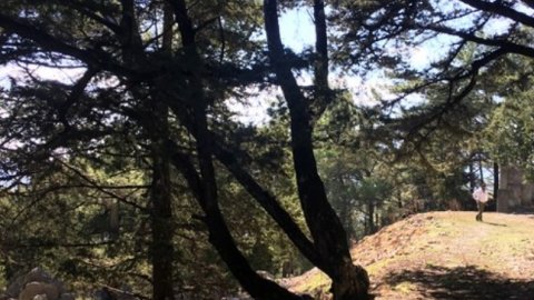 4x4 Offroad Safari in North Rhodes greece ροδοσ 2