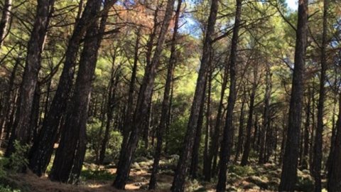 rhodes 4x4 offroas tour safari uncharted escapes greece5