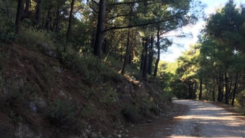 rhodes 4x4 offroas tour safari uncharted escapes greece 6