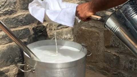 4x4 Off-Road Shephard's Hut/Cheese Making, Rethymnon