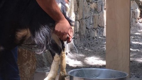 4x4 Off-Road Shephard's HutCheese Making, Rethymnon greece uncharted escapes 5