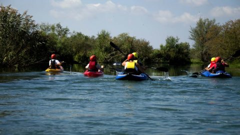 Louros River, Κayaking – Βirdwatching into the wild greece preveza.jpg3