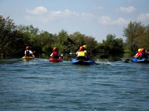 Louros River, Κayaking – Βirdwatching into the wild greece preveza.jpg3