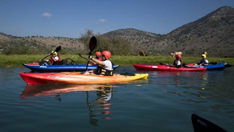 Louros River, Κayaking – Βirdwatching into the wild greece preveza.jpg1