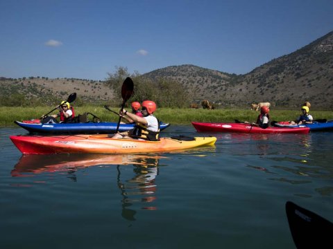 Louros River, Κayaking – Βirdwatching into the wild greece preveza.jpg1