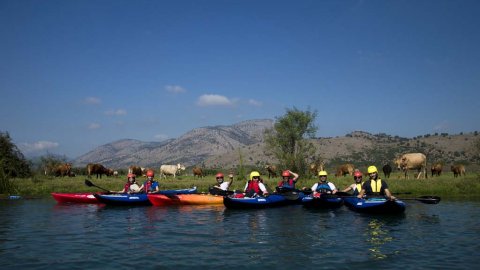 Louros River, Κayaking – Βirdwatching into the wild greece preveza