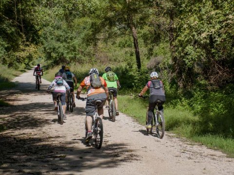 Mountain Bike mtb bicylce Forest Filippiada–Red clay–Ziros lake into the wild preveza greece.jpg2